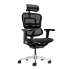 ERGOHUMAN elite II hálós irodai forgószék