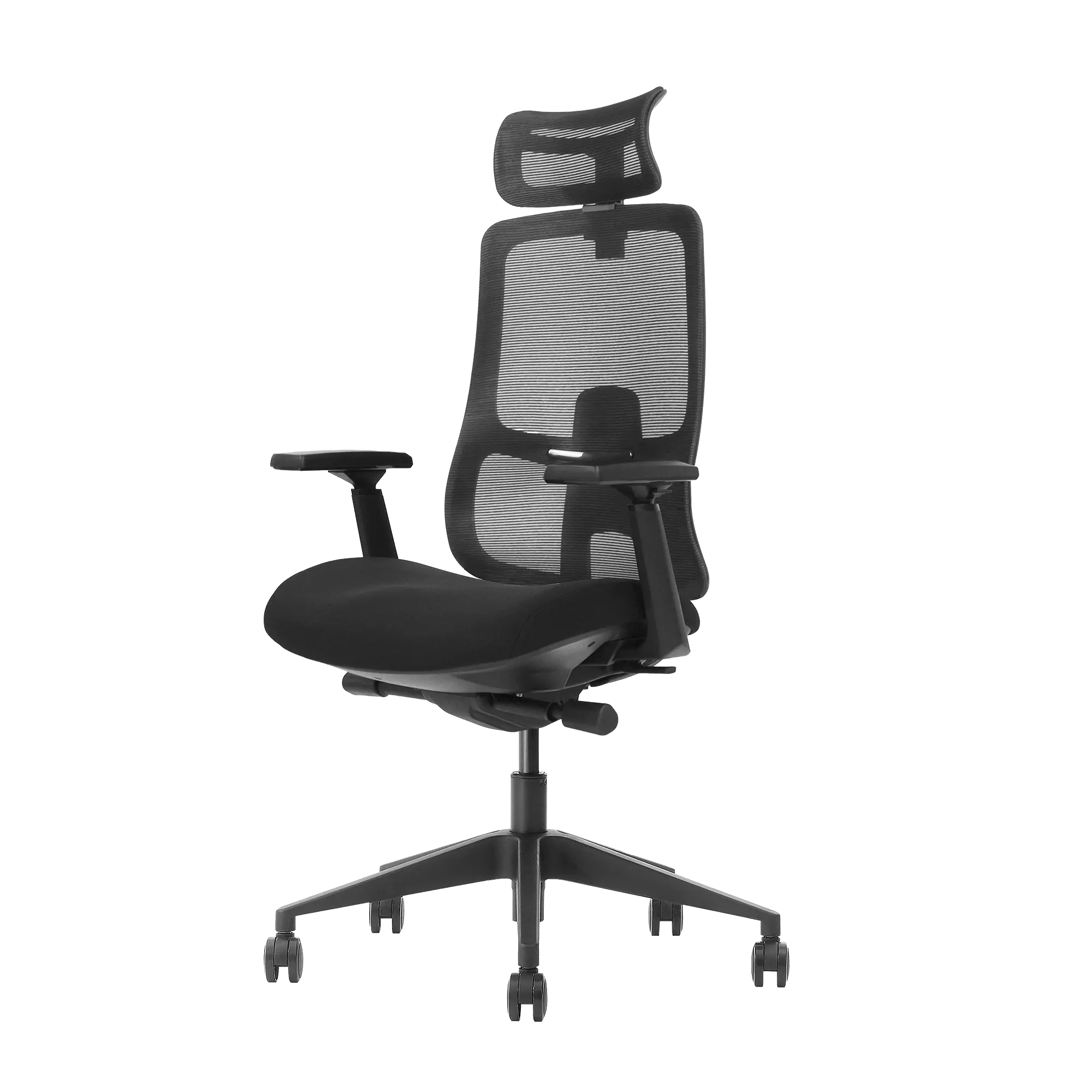 Ergomax Ergoline - Image 4