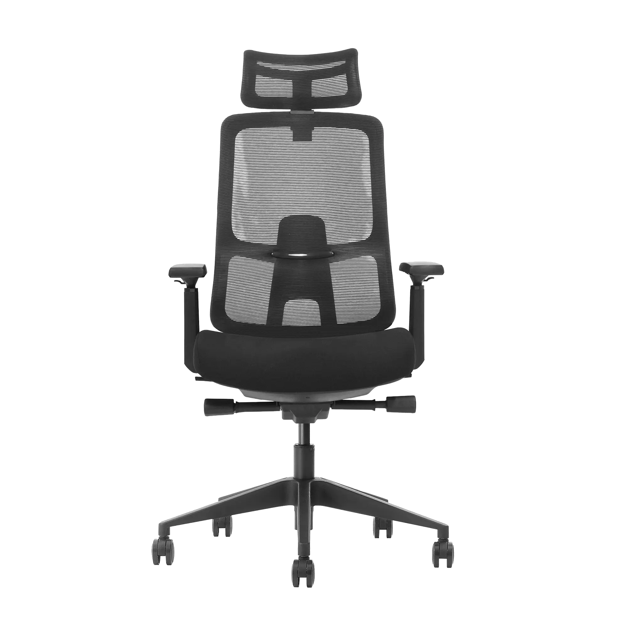 Ergomax Ergoline - Image 5